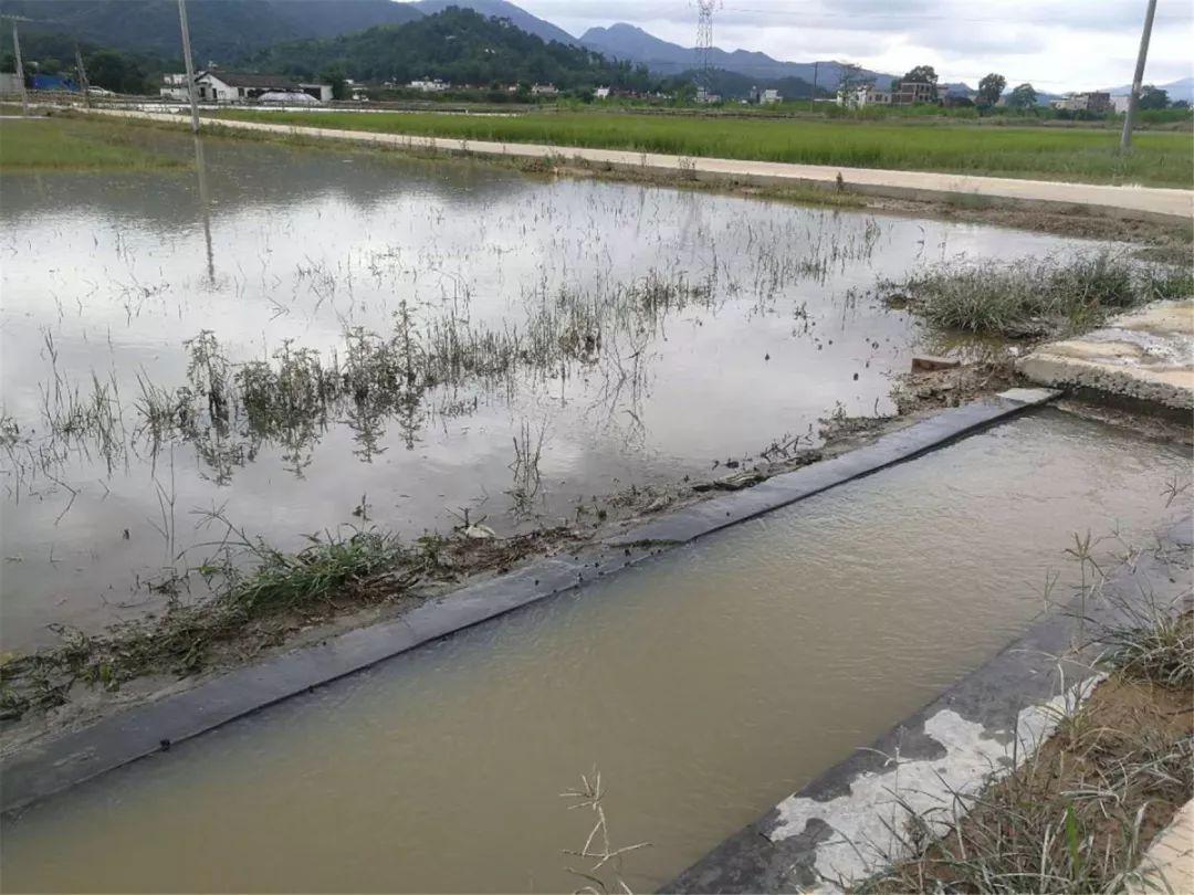 建筑材料 第25页