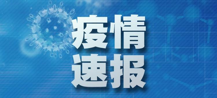 全球视角下的新冠疫情最新进展与应对策略，深度解析最新详情