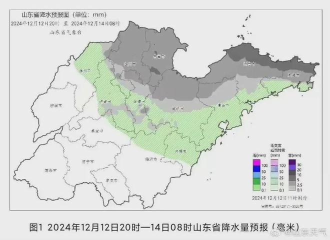 日照最新概况，城市发展与海滨魅力的融合展现