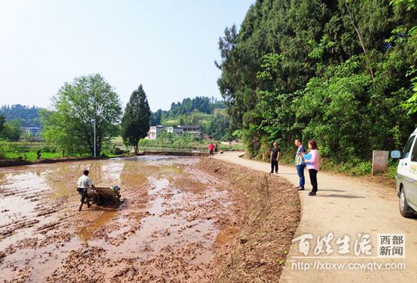 射洪县级公路维护监理事业单位最新项目探讨与动态分析