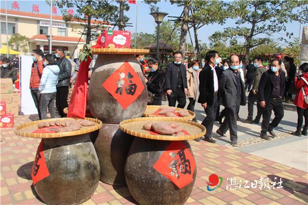 郑油期货最新动态解析，全面解读市场走势与影响因素