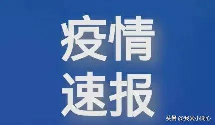 国庆期间山东疫情最新动态与影响分析