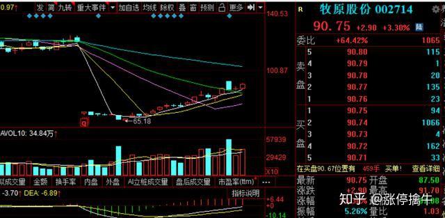 牧原食品股份股票最新动态，市场影响力与市场走势分析